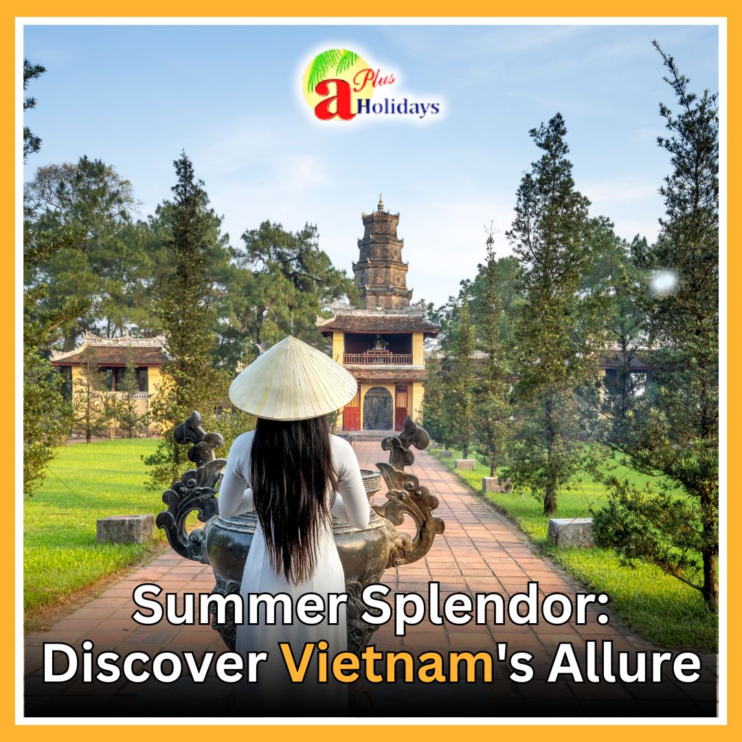 Vietnam Unveiled: Your Tailored Journey with aplusholidays